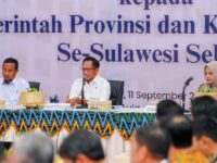 Gubernur Sulsel dan Mendagri Bahas Sinergi Pembangunan dan Stabilitas Daerah